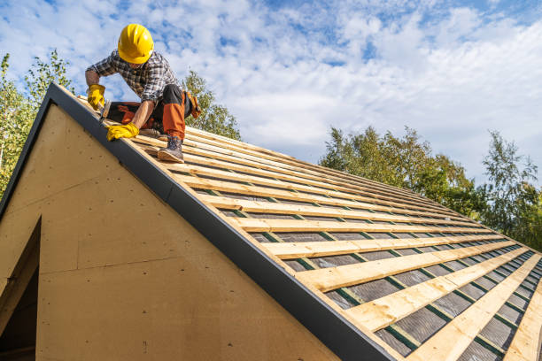 Best Metal Roofing Contractor  in Angleton, TX